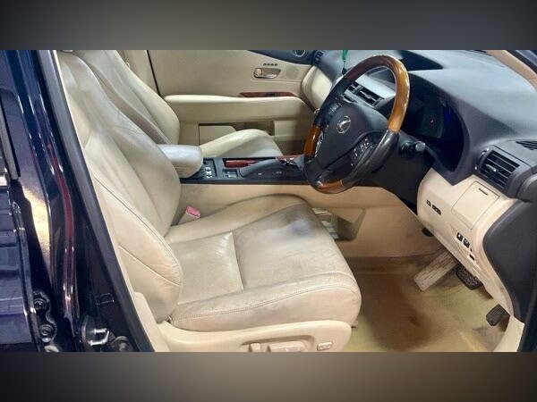 2009 Lexus RX